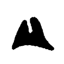 01010162