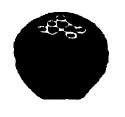 01010278